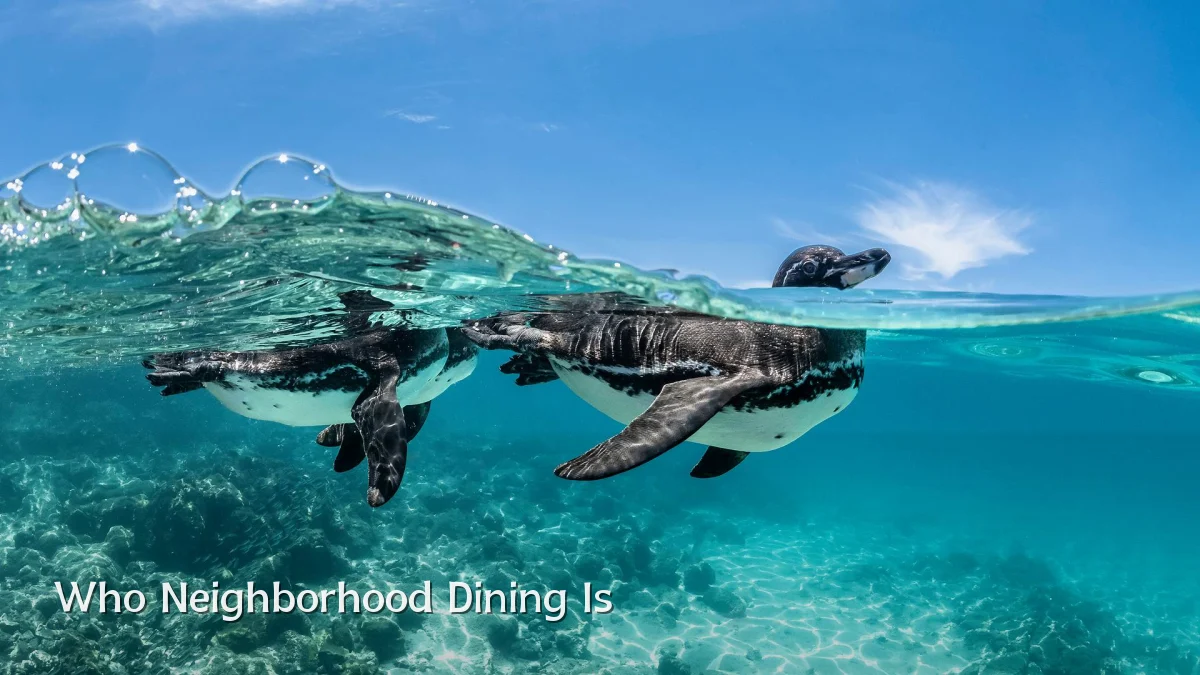 Who Neighborhood Dining Is