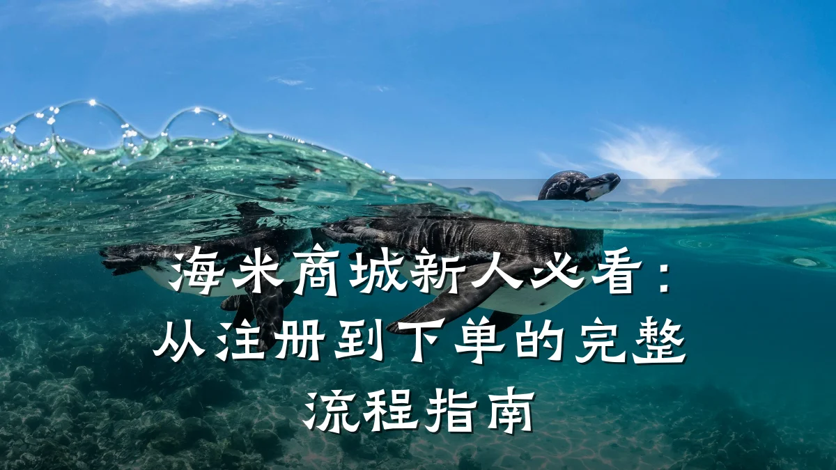 海米商城新人必看：从注册到下单的完整流程指南