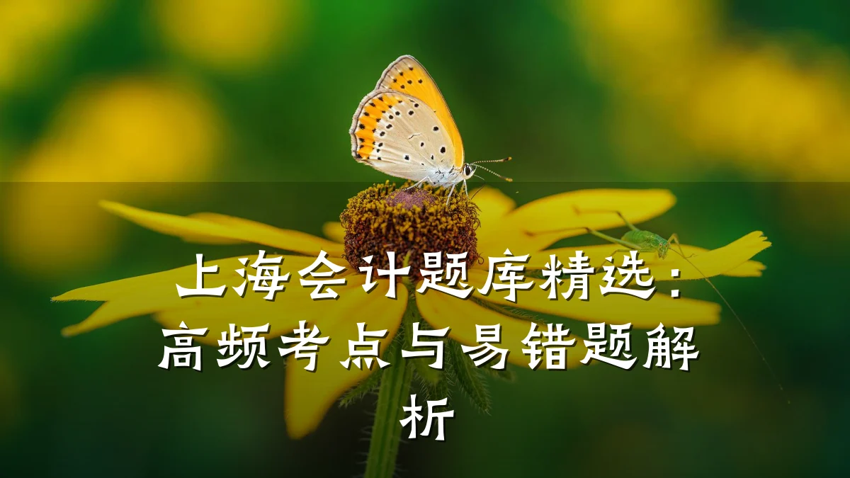 上海会计题库精选:高频考点与易错题解析