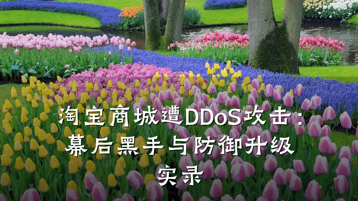 淘宝商城遭DDoS攻击:幕后黑手与防御升级实录