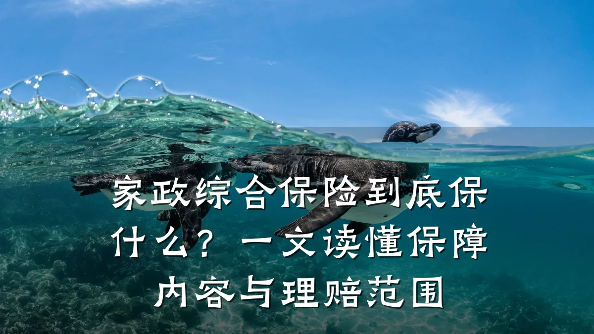 家政综合保险到底保什么？一文读懂保障内容与理赔范围