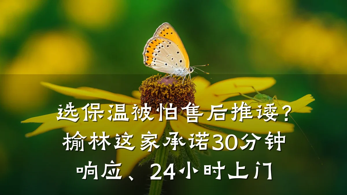 选保温被怕售后推诿?榆林这家承诺30分钟响应、24小时上门