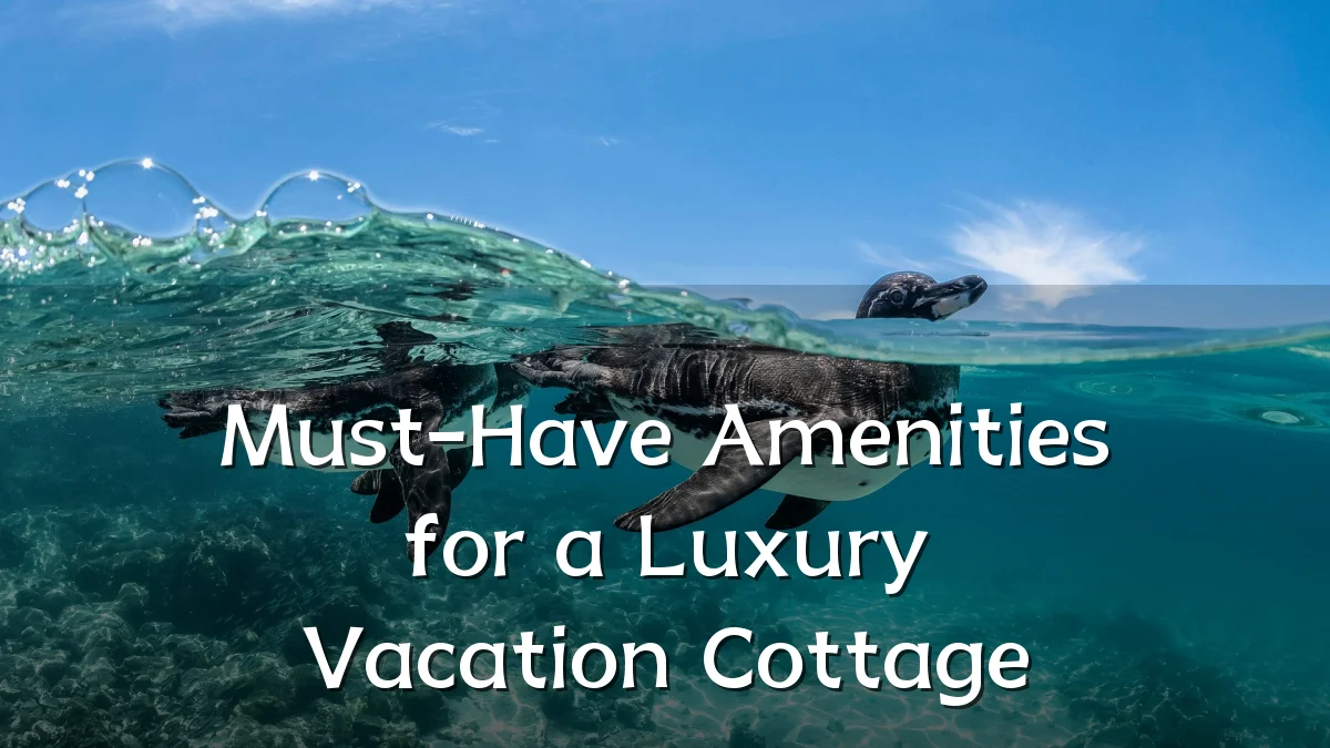 Must-Have Amenities for a Luxury Vacation Cottage