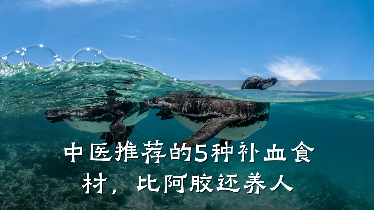中医推荐的5种补血食材，比阿胶还养人