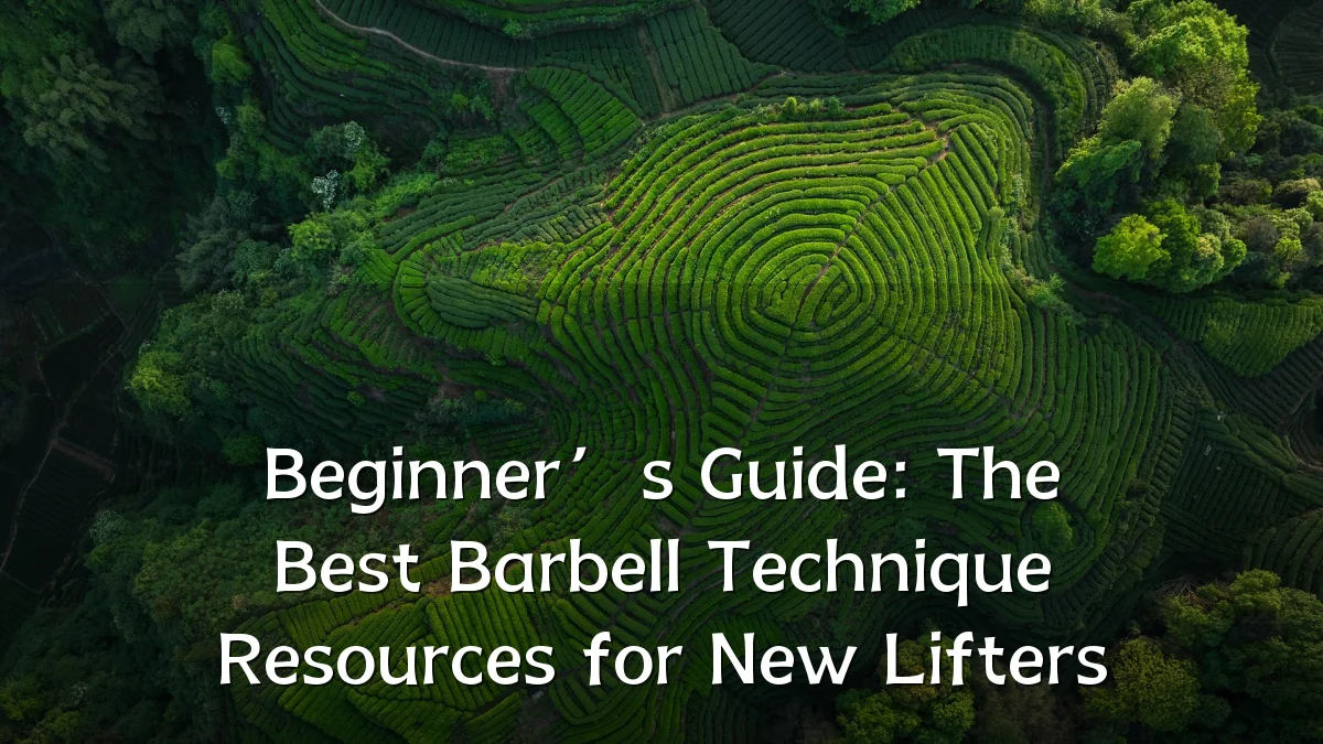 Beginner’s Guide: The Best Barbell Technique Resources for New Lifters