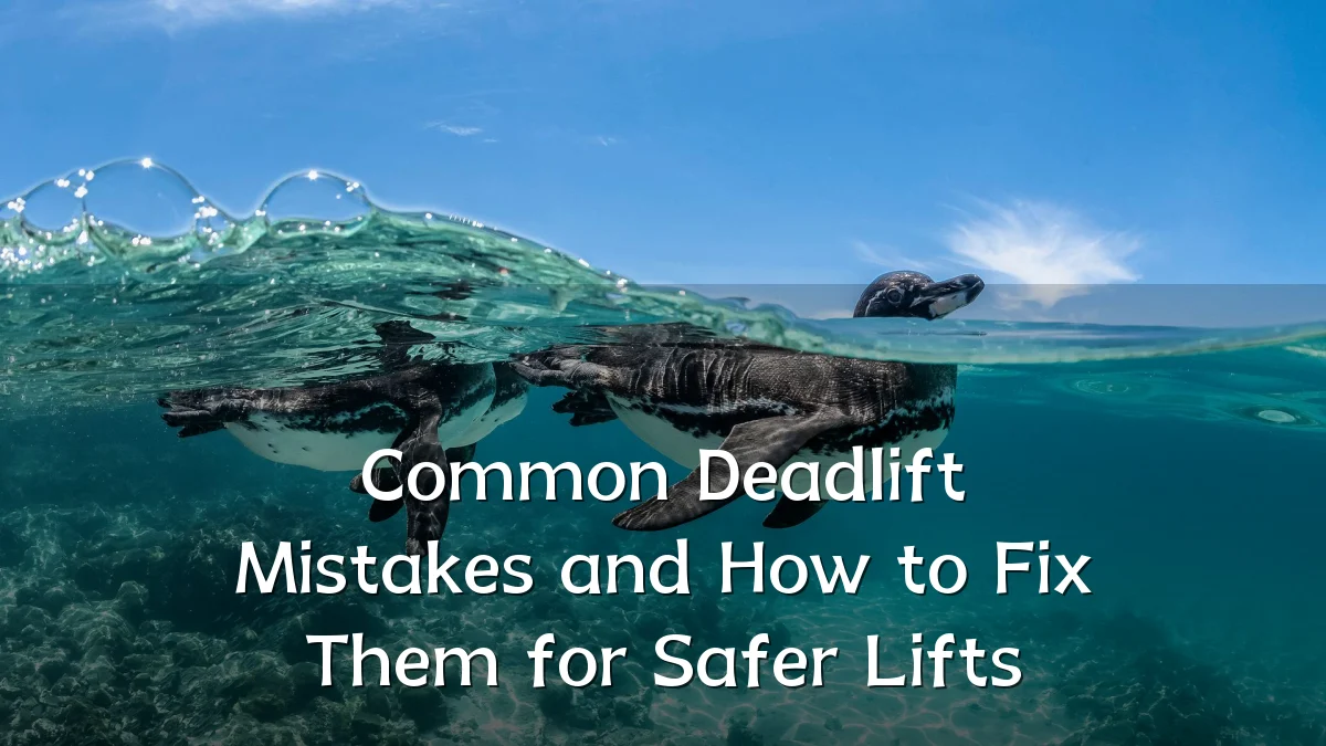 Common Deadlift Mistakes and How to Fix Them for Safer Lifts