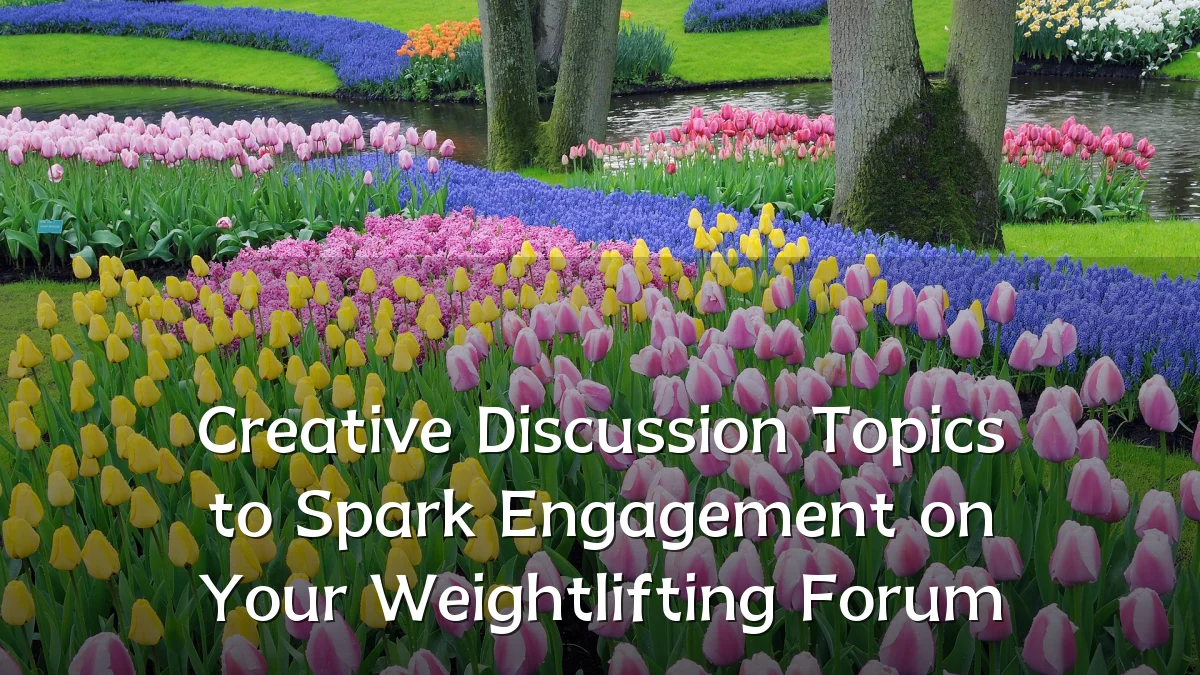 Creative Discussion Topics to Spark Engagement on Your Weightlifting Forum