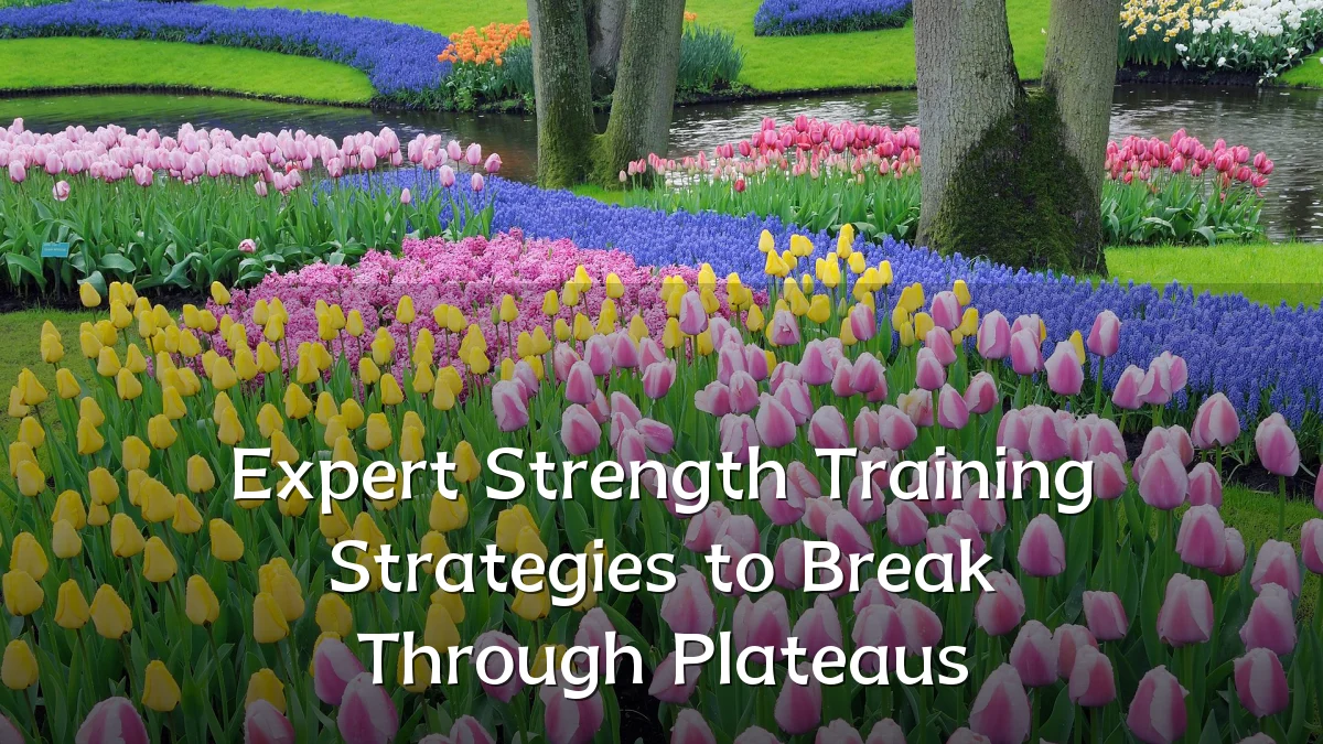 Expert Strength Training Strategies to Break Through Plateaus