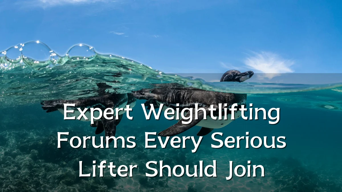 Expert Weightlifting Forums Every Serious Lifter Should Join