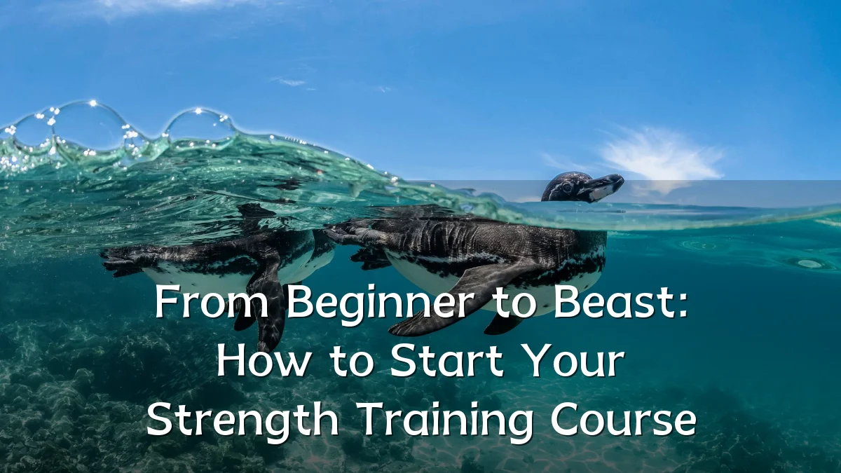 From Beginner to Beast: How to Start Your Strength Training Course