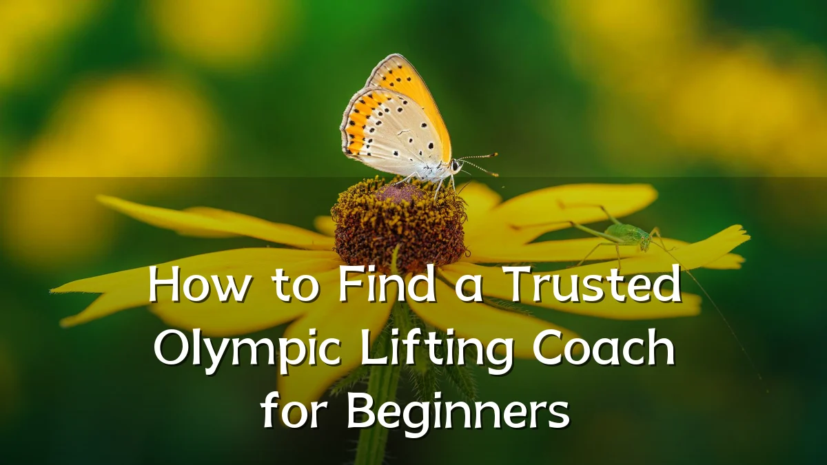 How to Find a Trusted Olympic Lifting Coach for Beginners