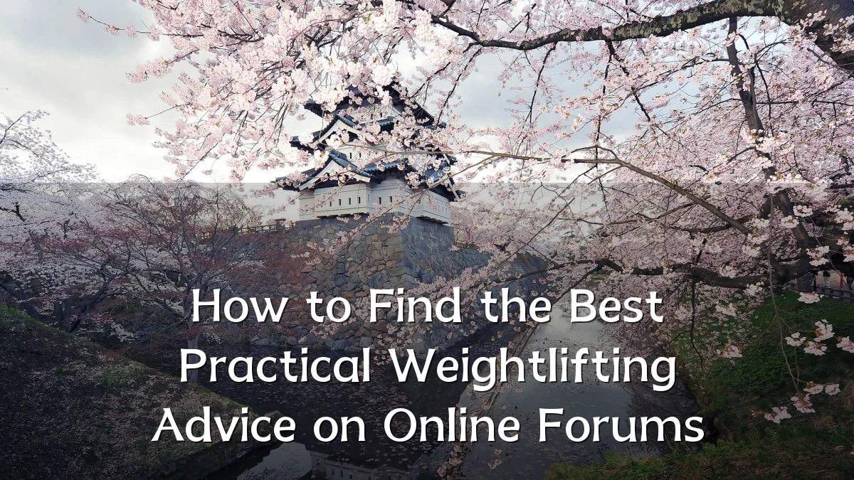 How to Find the Best Practical Weightlifting Advice on Online Forums