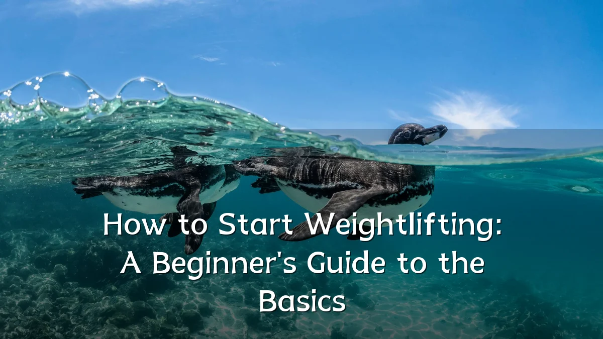 How to Start Weightlifting: A Beginner's Guide to the Basics