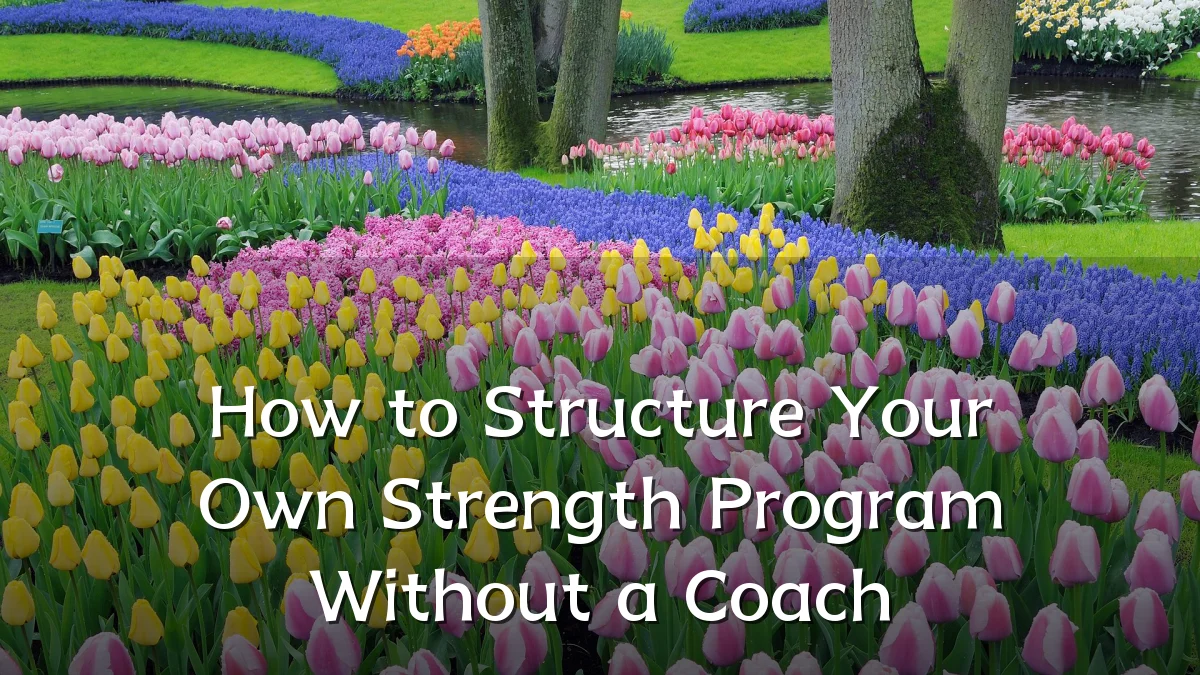 How to Structure Your Own Strength Program Without a Coach