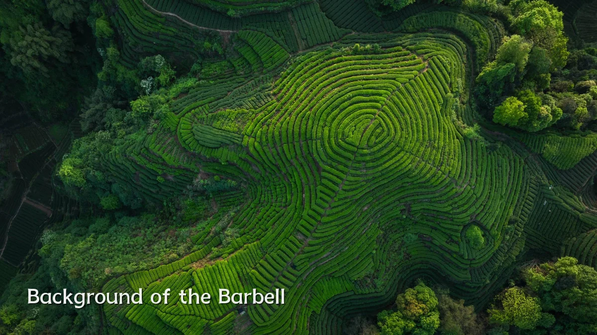 Background of the Barbell