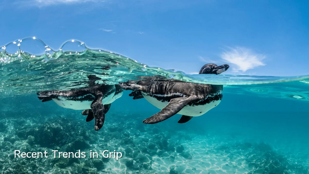 Recent Trends in Grip