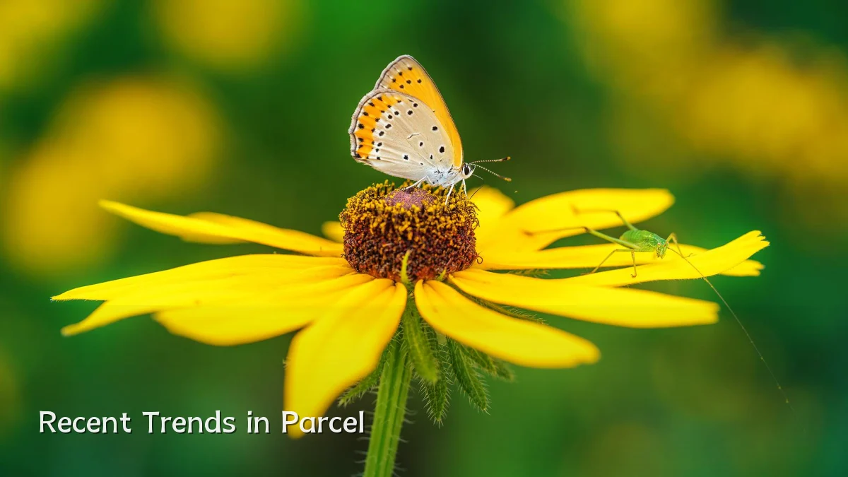 Recent Trends in Parcel