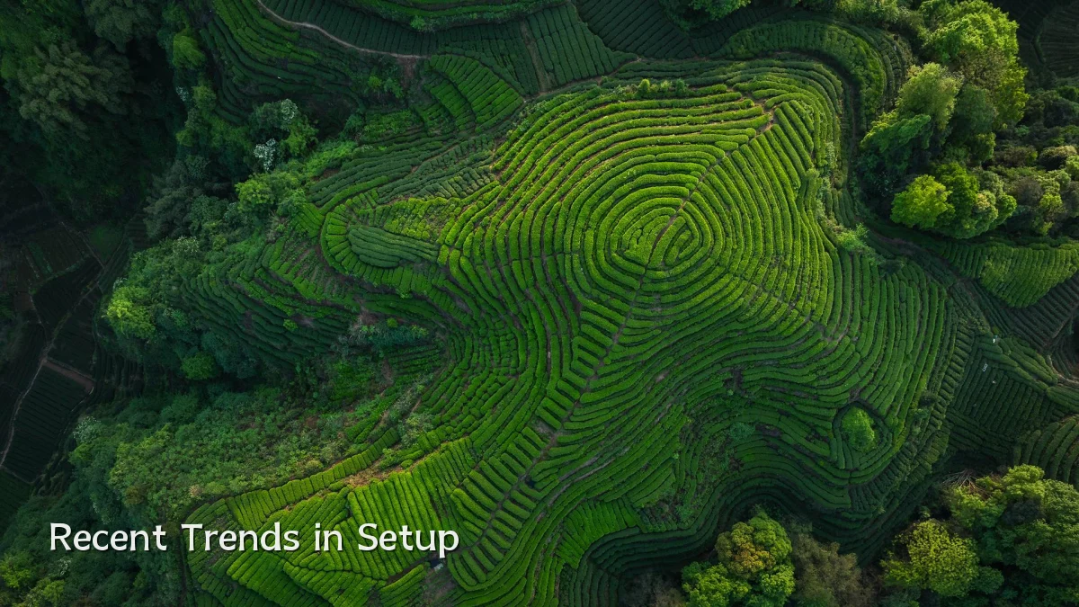 Recent Trends in Setup