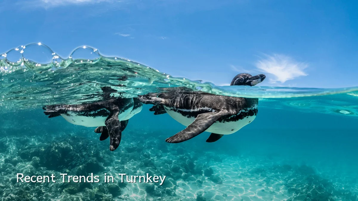 Recent Trends in Turnkey
