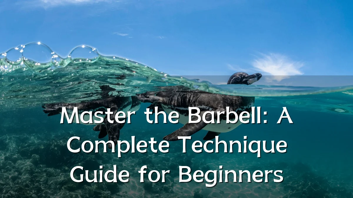 Master the Barbell: A Complete Technique Guide for Beginners