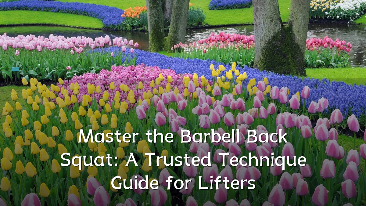 Master the Barbell Back Squat: A Trusted Technique Guide for Lifters