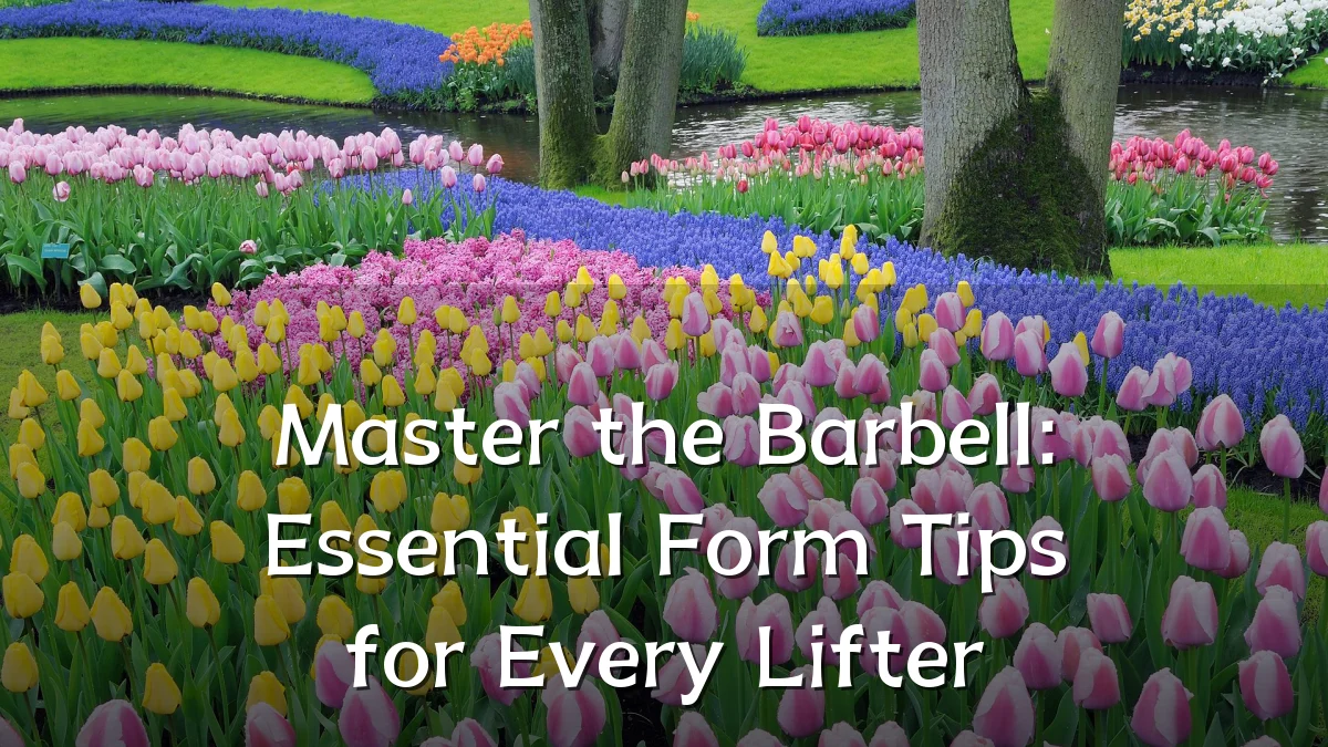 Master the Barbell: Essential Form Tips for Every Lifter