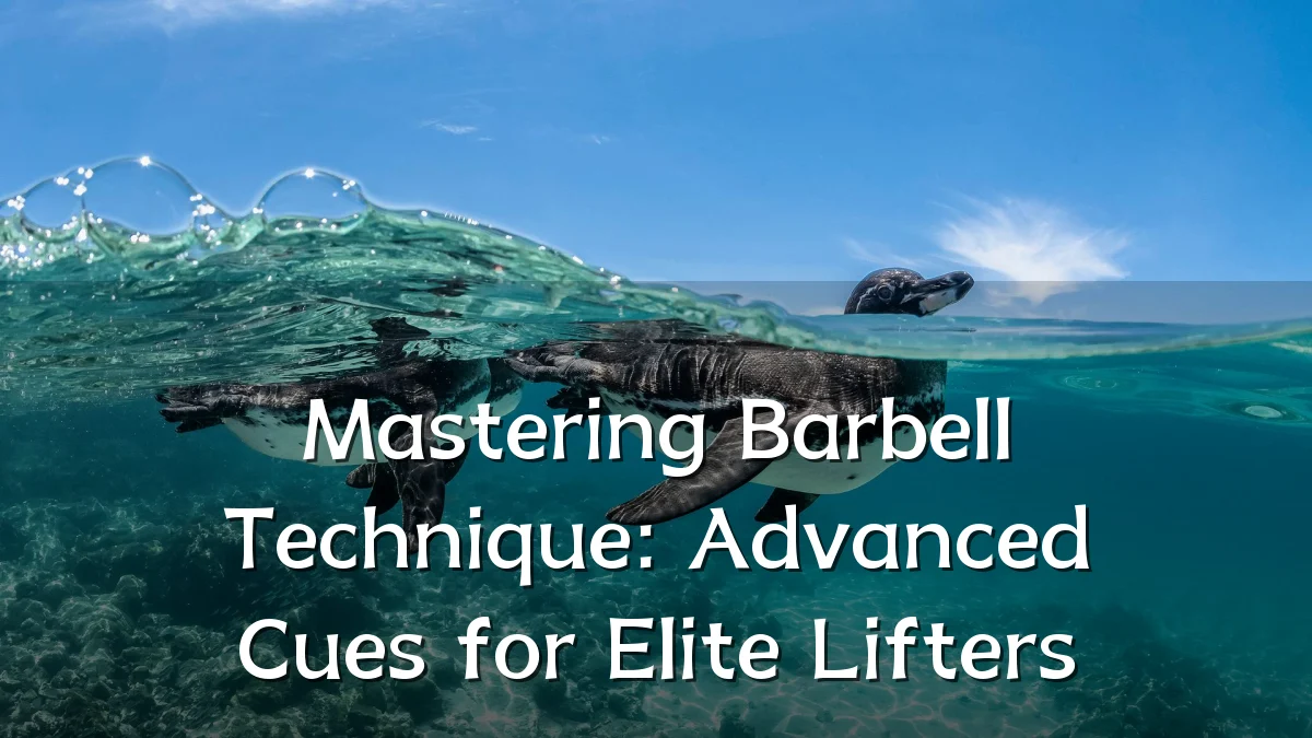 Mastering Barbell Technique: Advanced Cues for Elite Lifters