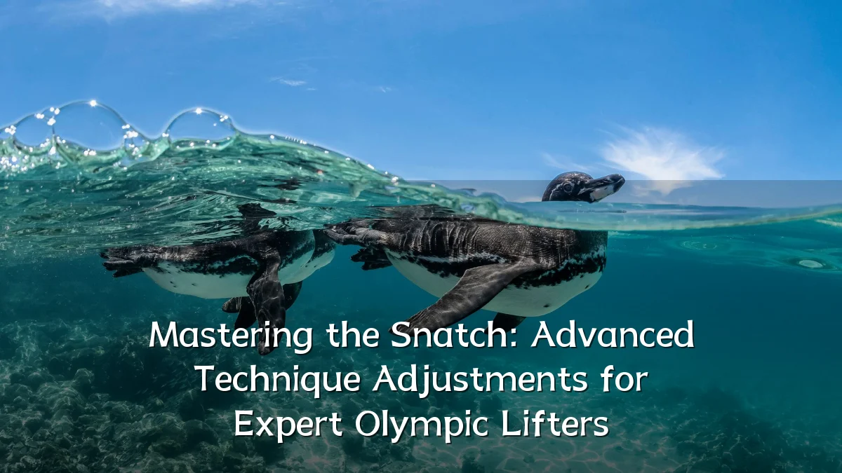 Mastering the Snatch: Advanced Technique Adjustments for Expert Olympic Lifters