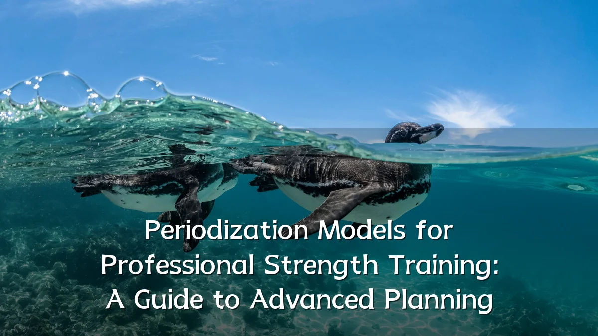 Periodization Models for Professional Strength Training: A Guide to Advanced Planning
