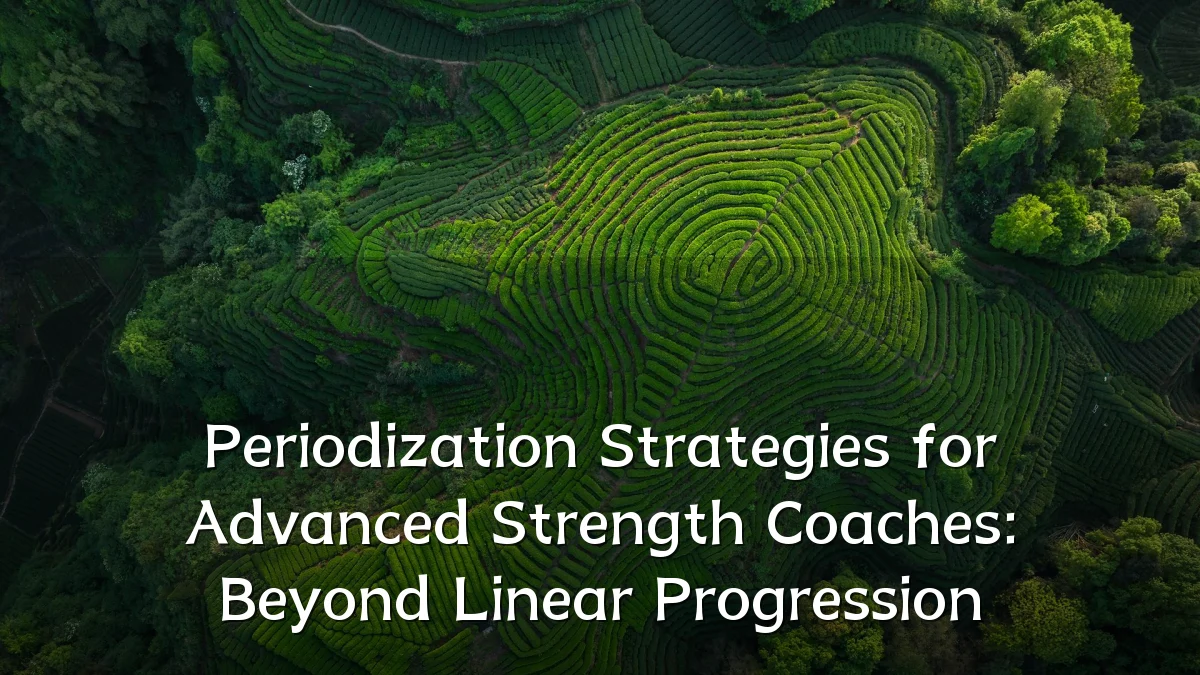 Periodization Strategies for Advanced Strength Coaches: Beyond Linear Progression