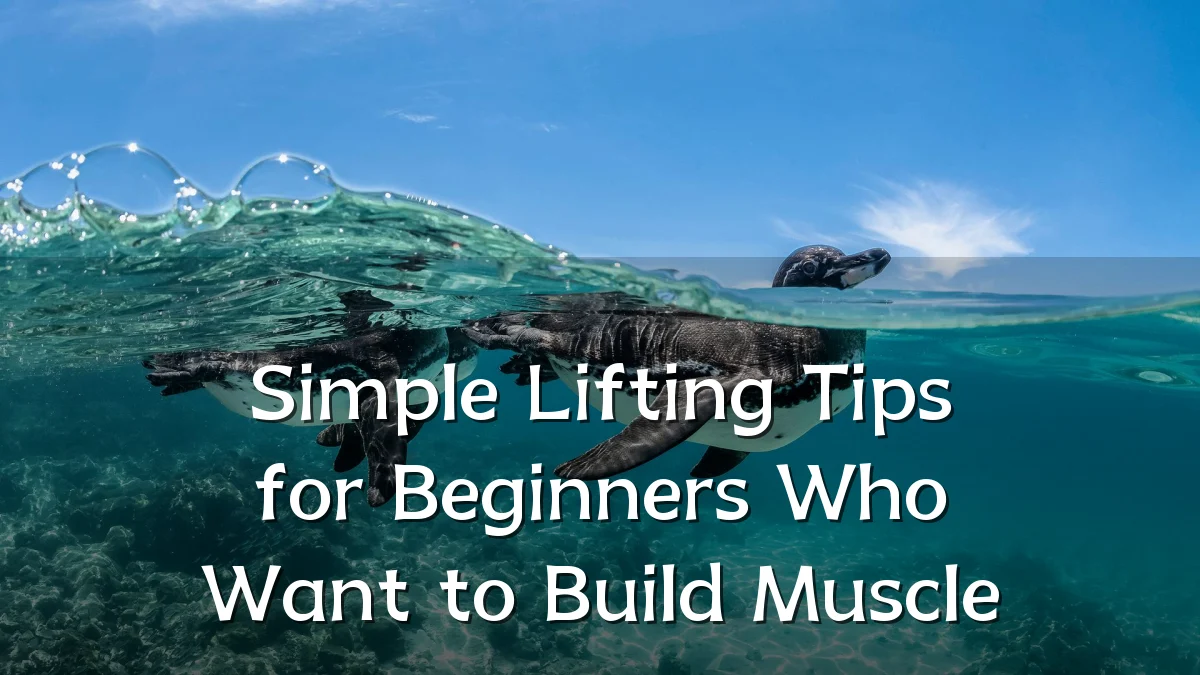Simple Lifting Tips for Beginners Who Want to Build Muscle