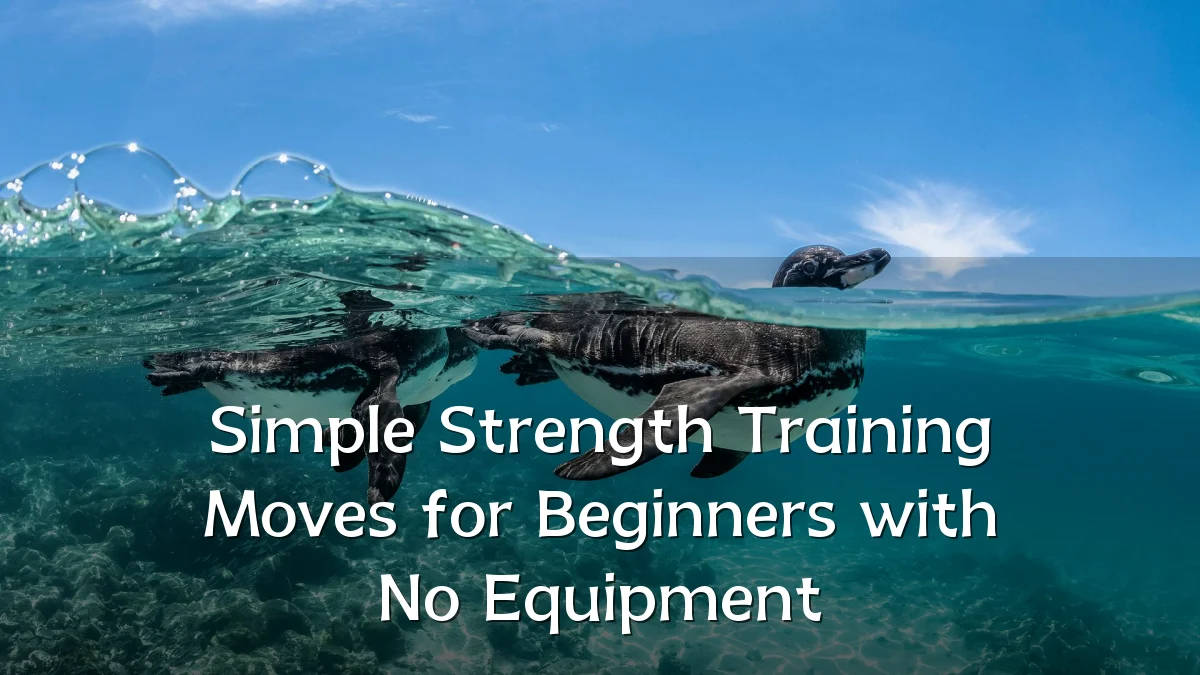 Simple Strength Training Moves for Beginners with No Equipment