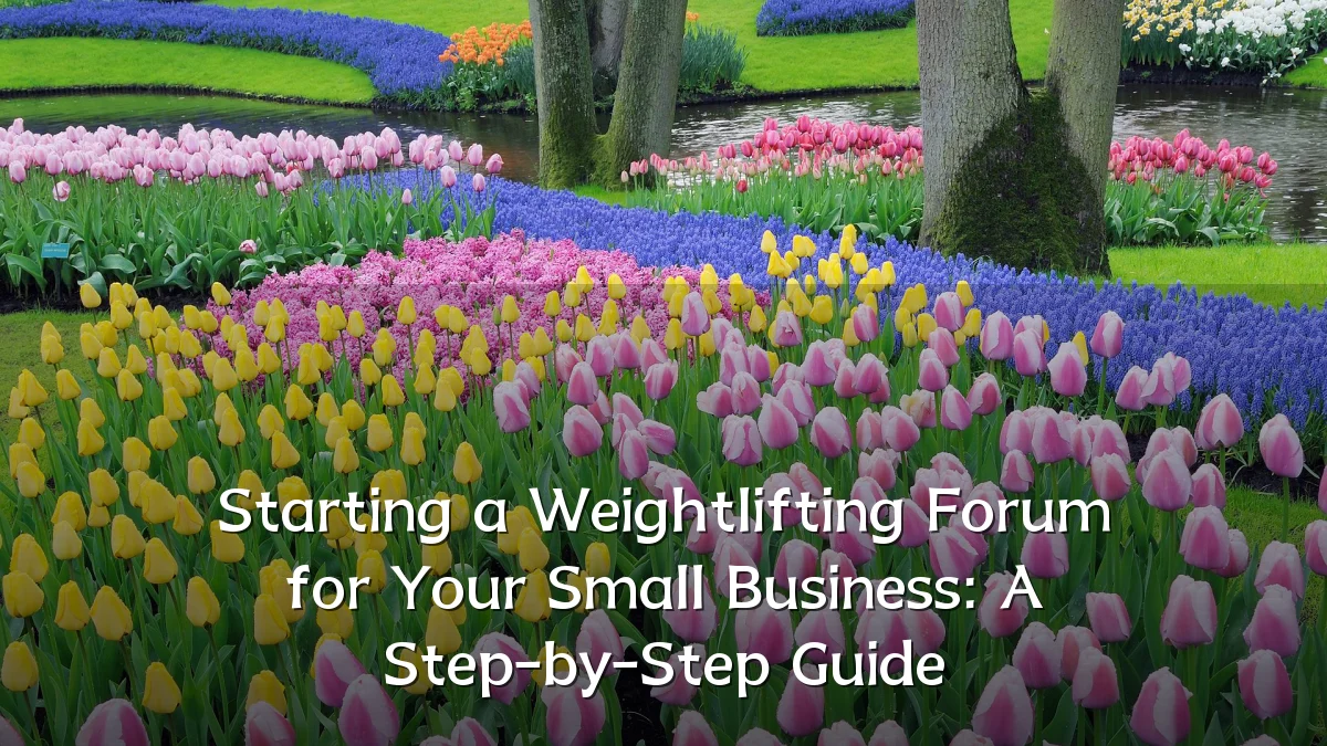 Starting a Weightlifting Forum for Your Small Business: A Step-by-Step Guide