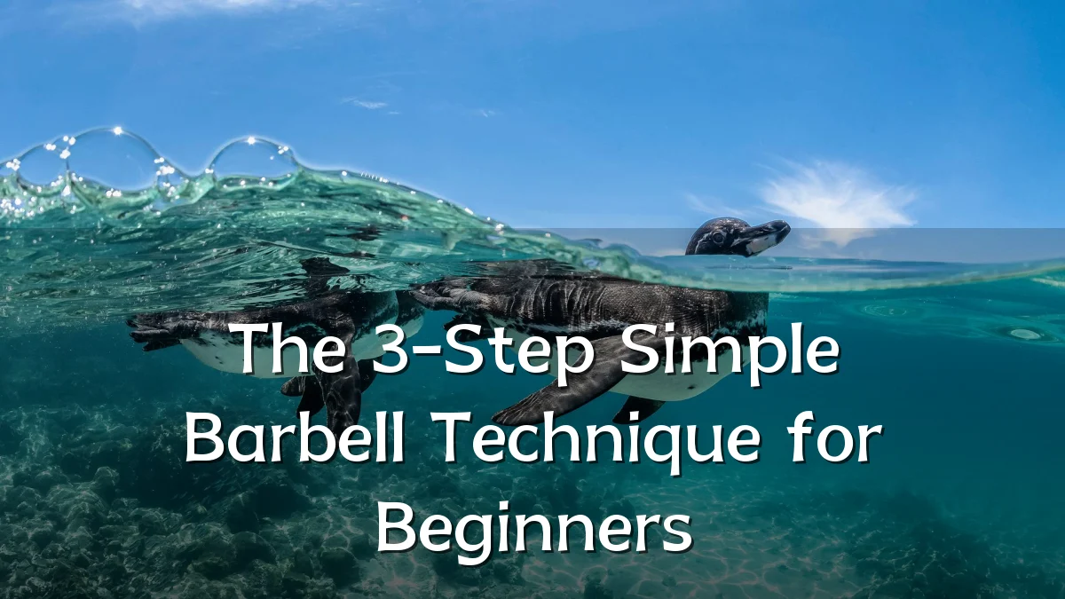 The 3-Step Simple Barbell Technique for Beginners