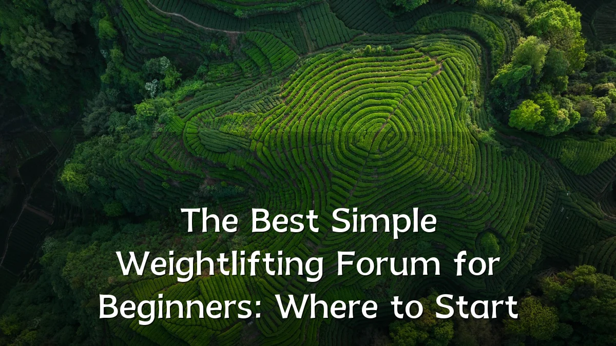 The Best Simple Weightlifting Forum for Beginners: Where to Start