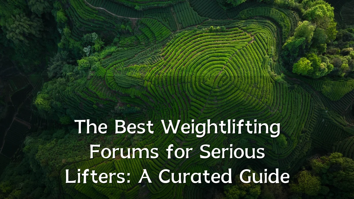 The Best Weightlifting Forums for Serious Lifters: A Curated Guide