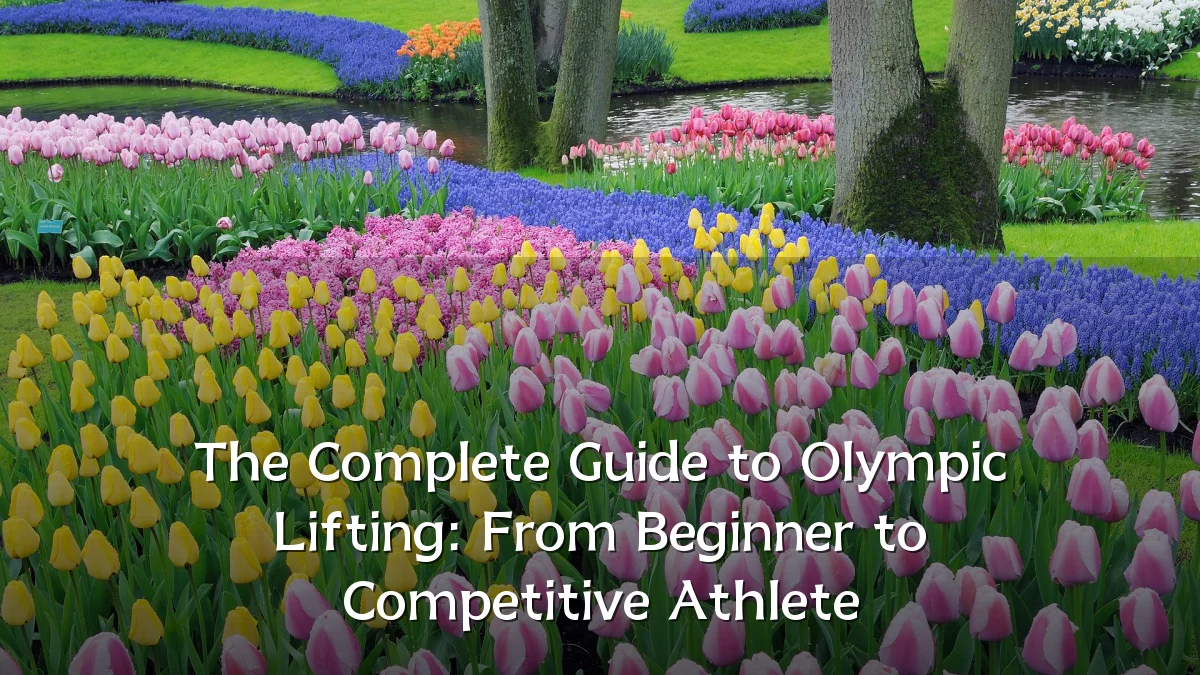The Complete Guide to Olympic Lifting: From Beginner to Competitive Athlete