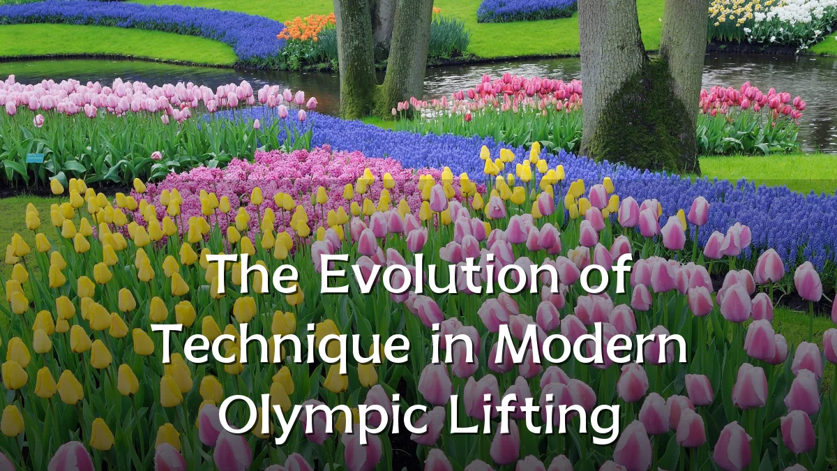 The Evolution of Technique in Modern Olympic Lifting