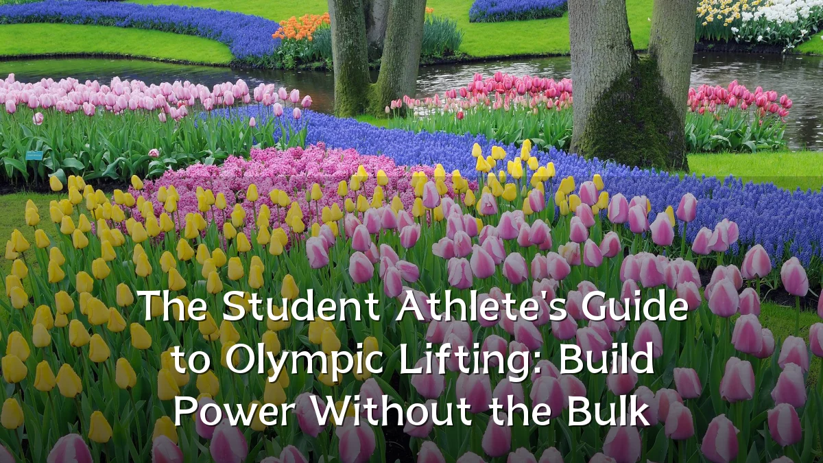 The Student Athlete's Guide to Olympic Lifting: Build Power Without the Bulk