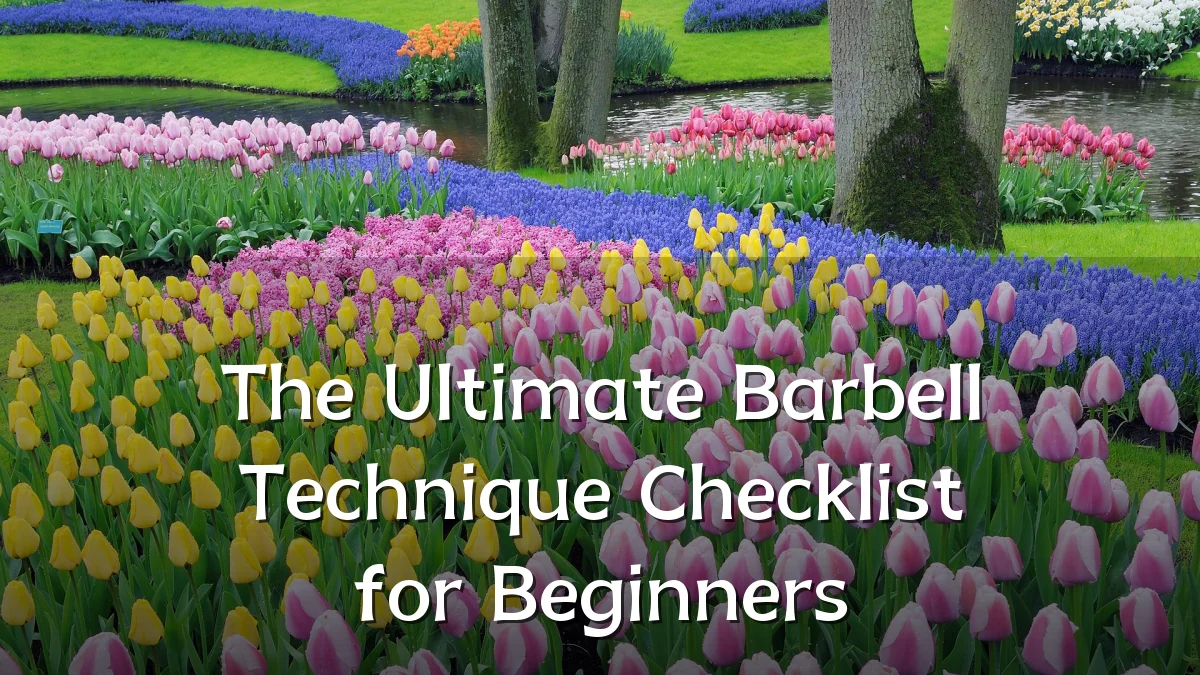 The Ultimate Barbell Technique Checklist for Beginners