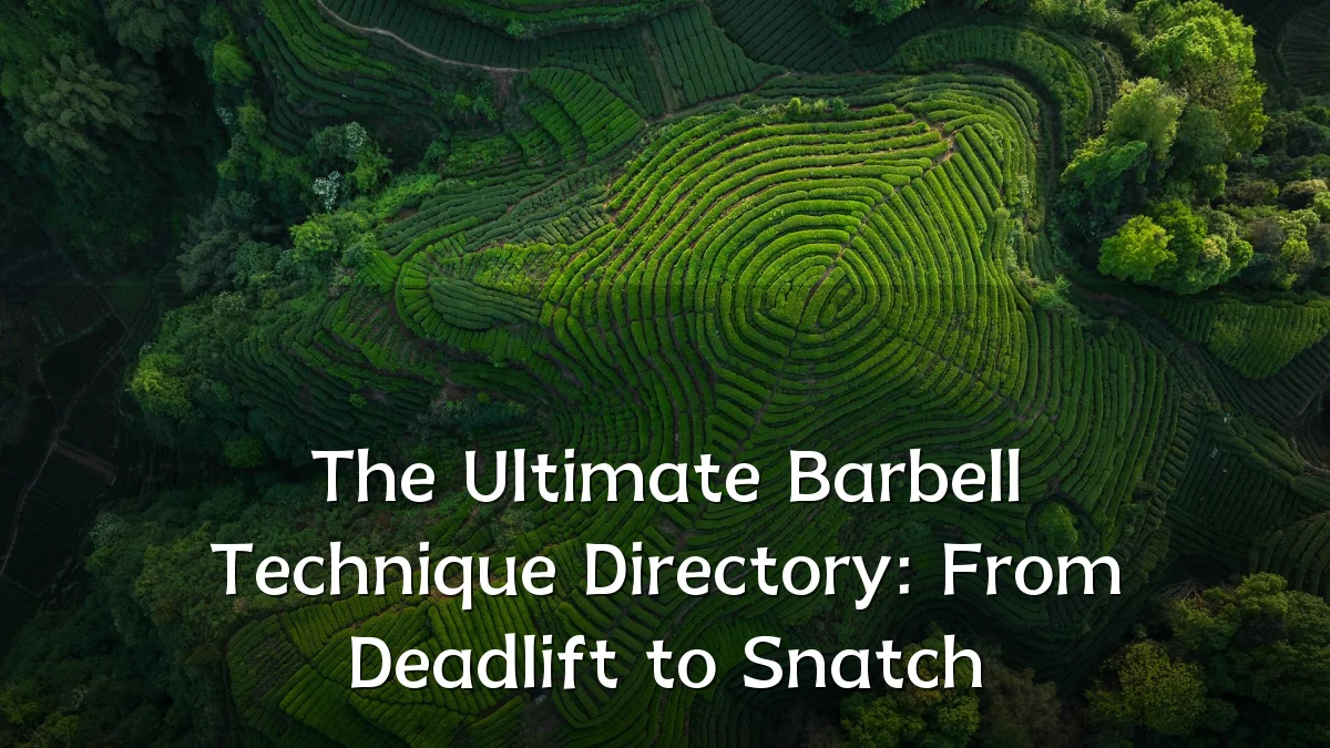 The Ultimate Barbell Technique Directory: From Deadlift to Snatch