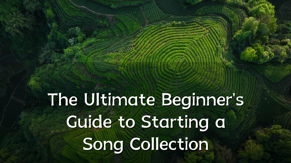 The Ultimate Beginner's Guide to Starting a Song Collection