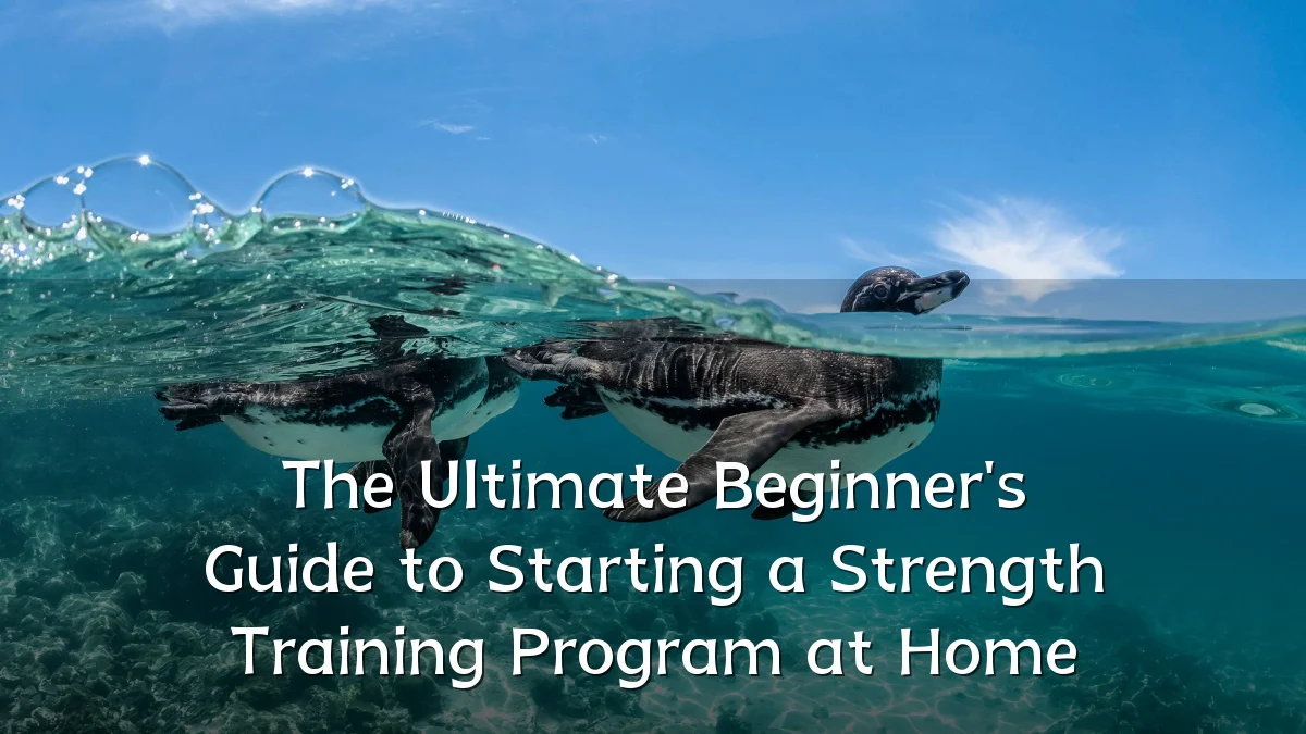 The Ultimate Beginner's Guide to Starting a Strength Training Program at Home