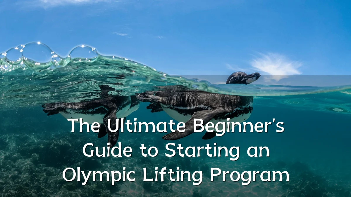 The Ultimate Beginner's Guide to Starting an Olympic Lifting Program
