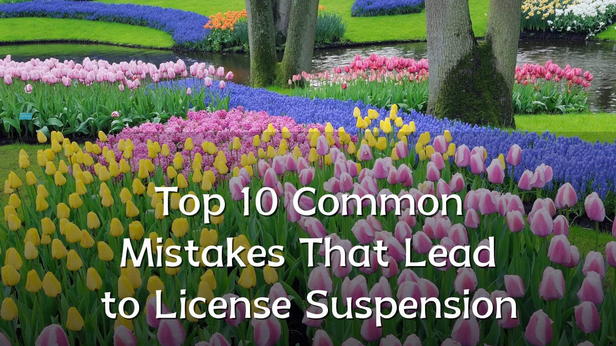 Top 10 Common Mistakes That Lead to License Suspension