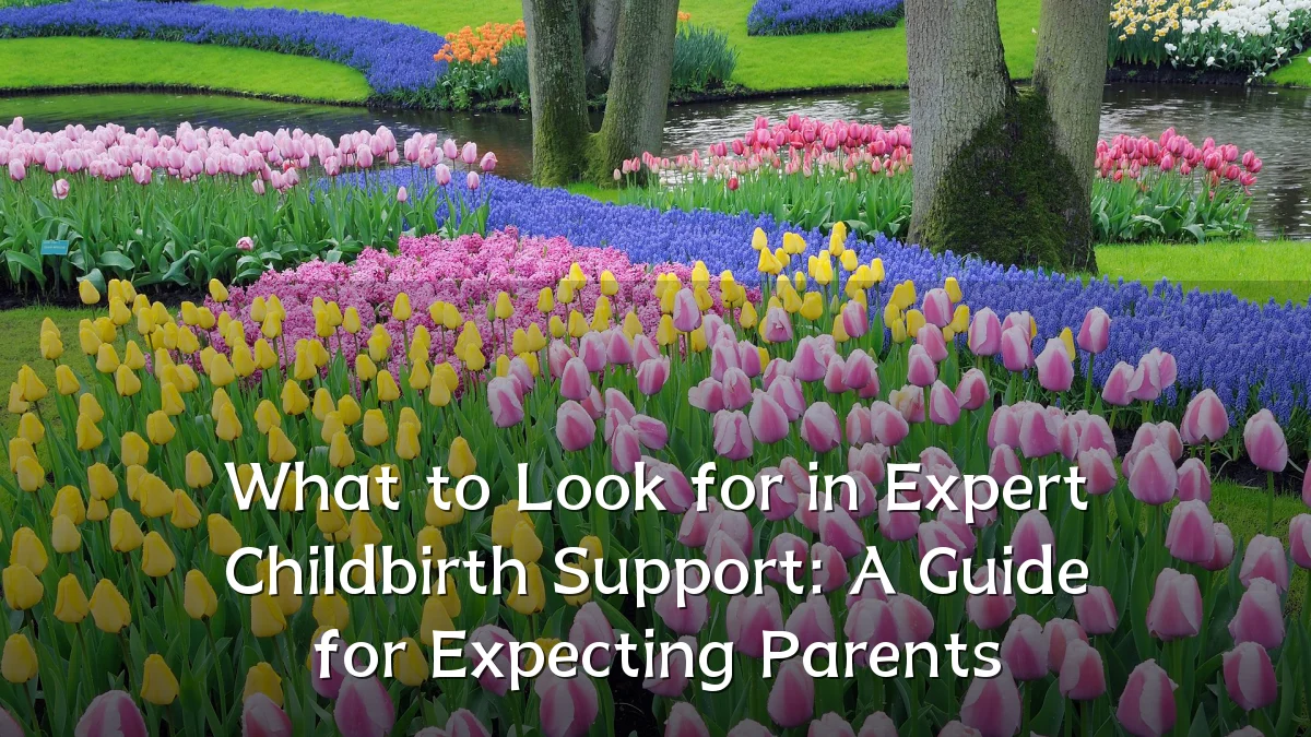 What to Look for in Expert Childbirth Support: A Guide for Expecting Parents