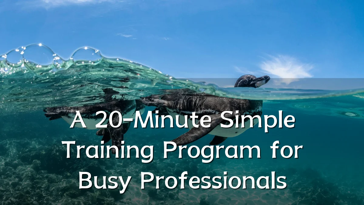 A 20-Minute Simple Training Program for Busy Professionals