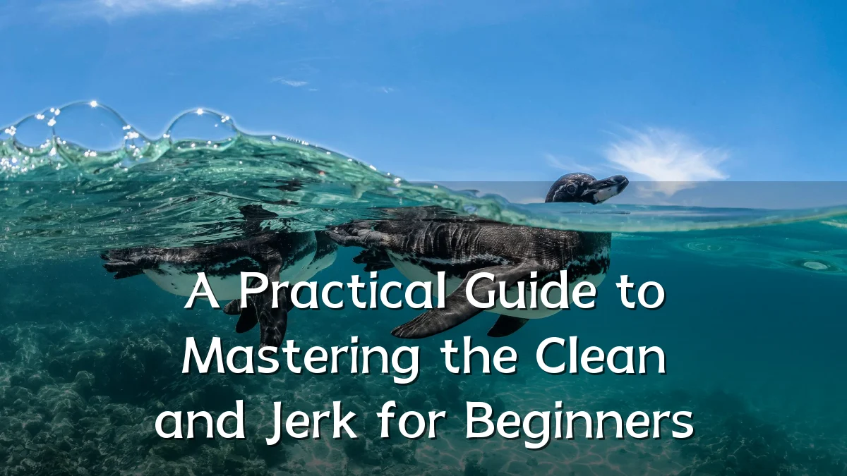 A Practical Guide to Mastering the Clean and Jerk for Beginners