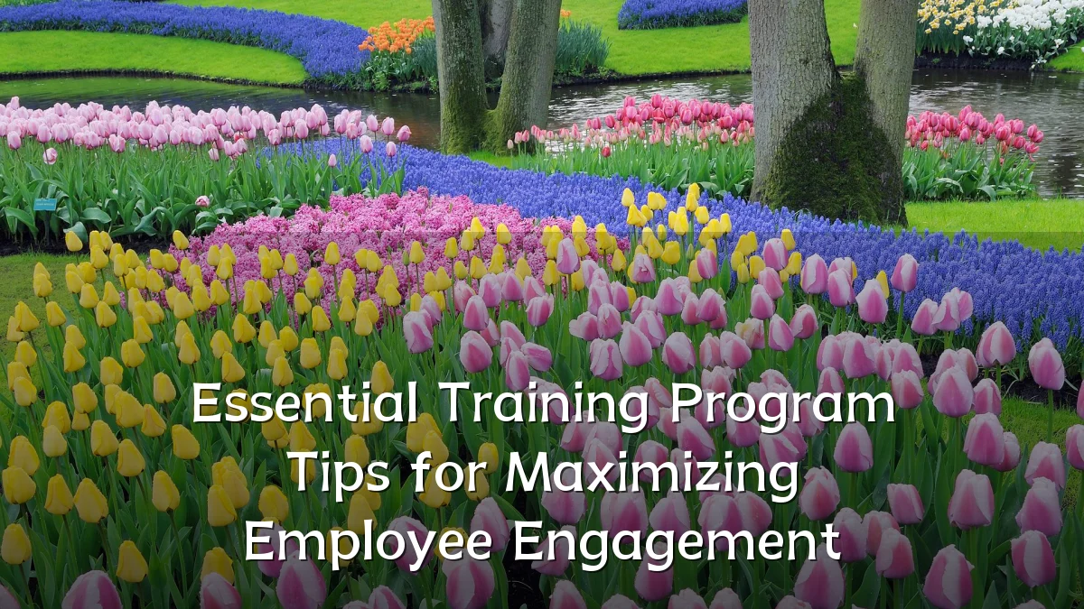 Essential Training Program Tips for Maximizing Employee Engagement