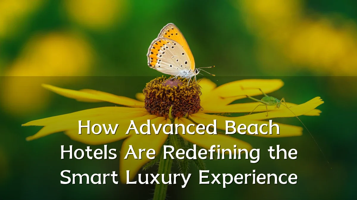 How Advanced Beach Hotels Are Redefining the Smart Luxury Experience